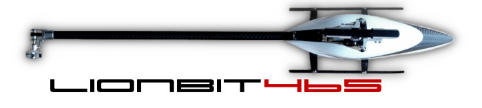 Projekt LionBit465 Projekt LionBit465