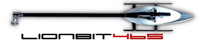 Projekt LionBit465 Projekt LionBit465