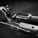 lionbit700 17 20160314