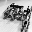 lionbit700 4 20160314