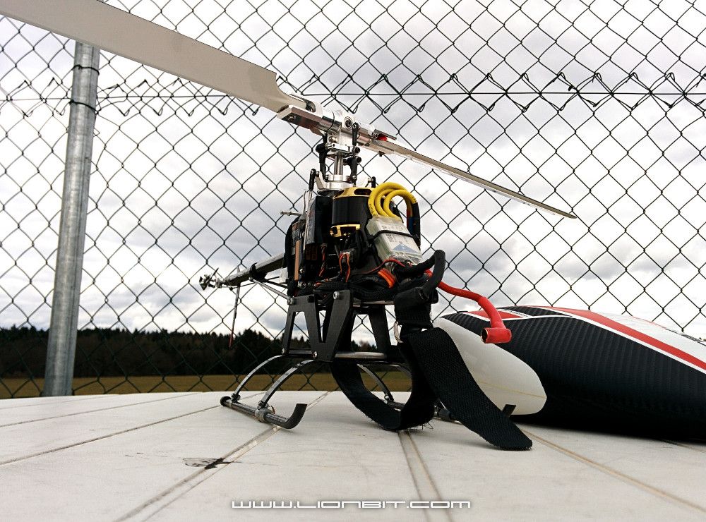 Der LionBit465 nackig